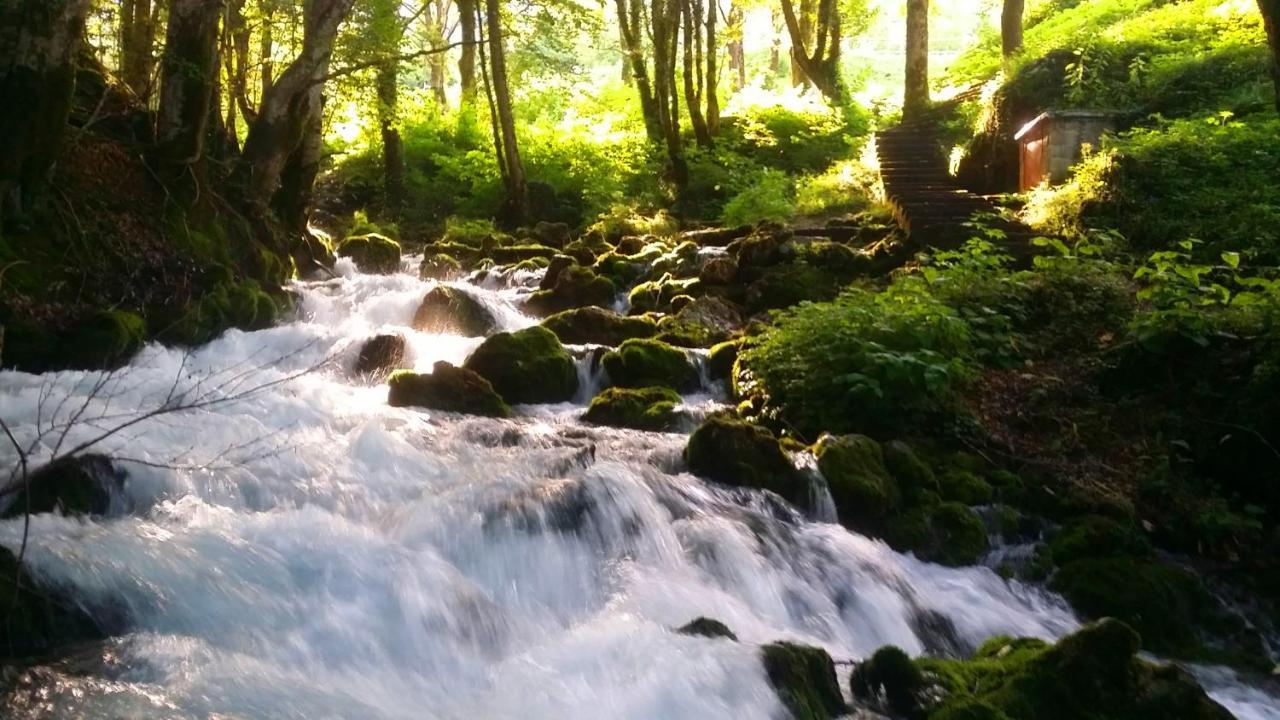 Hotel Ravnjak Dobrilovina Екстериор снимка
