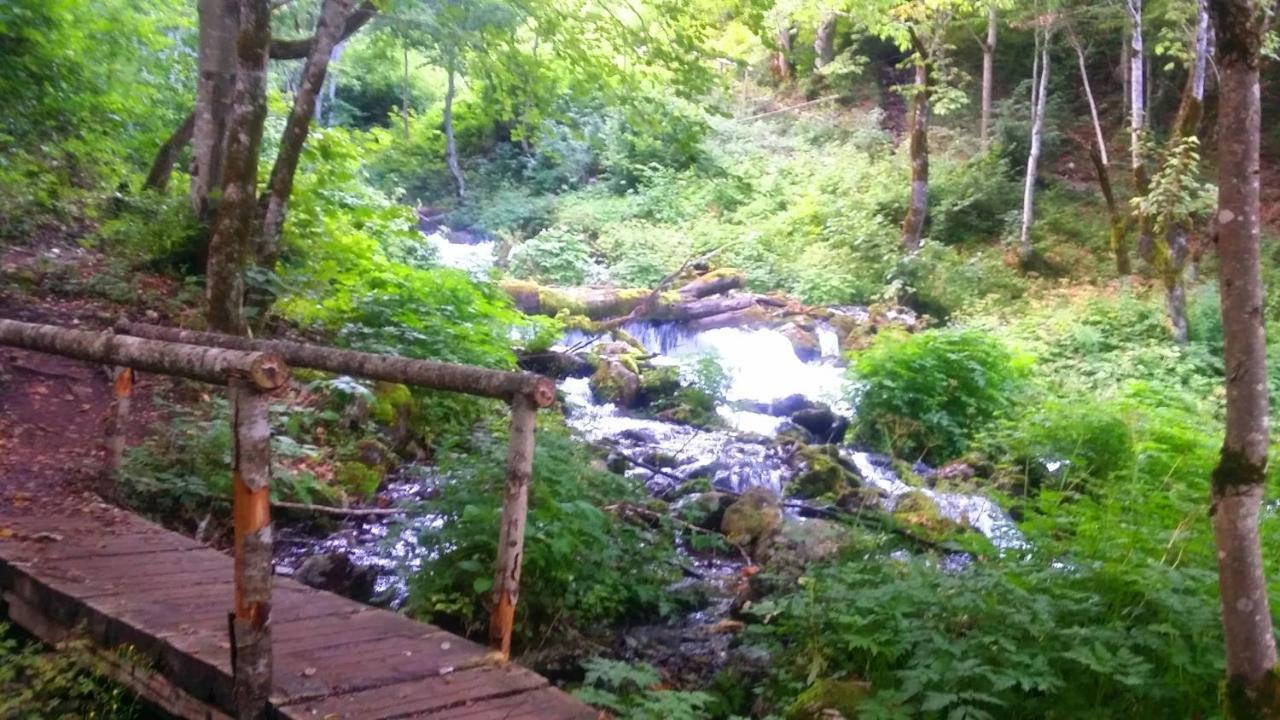 Hotel Ravnjak Dobrilovina Екстериор снимка